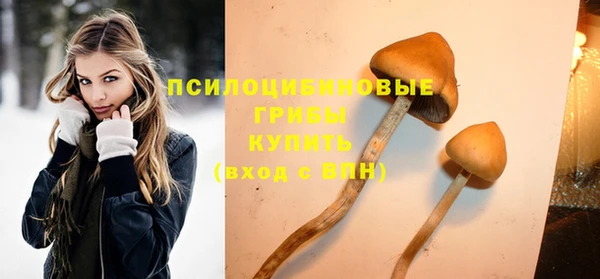 гашишное масло Инсар