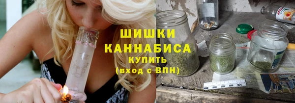 стаф Зерноград